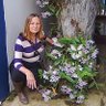 Sonia Teresa Diegues Fonseca profil fotoğrafı