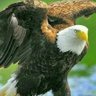 Фото профиля ⚫⚪KARTAL 🦅 MAB 1903⚫⚪🔛
