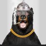 Profilbild von Savinsky