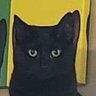 Profilbild von Data-nz