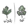 بين البينين :{ profil fotoğrafı