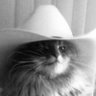 Profilbild von katdaddy