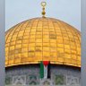 🇵🇸🇰🇼عبدالله's profile picture