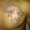 HardMolar's profile picture