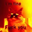bigbangvlv's profile picture