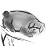 Profilbild von Tomadaoto