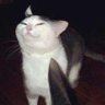 Profilbild von SoundWave