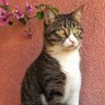 Yelizz profil fotoğrafı