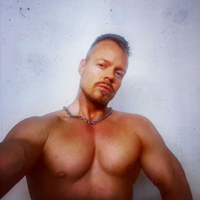 BODO's profile picture