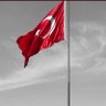 Abdullah Tan's profile picture