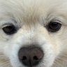 「べび」🙄 profil fotoğrafı