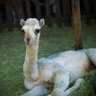 Фото профиля Sofie