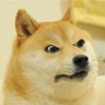 Dogecoin Maximalist 的头像