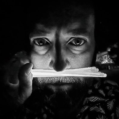 Nikola Damjanov's profile picture