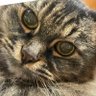 Profilbild von Mey