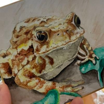 keroronomori's profile picture
