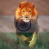 Mujtaba 🍉 profil fotoğrafı