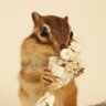 f.f🐿️ 的头像