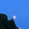 NodA_Leiny's profile picture