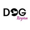 Dog Region 的头像