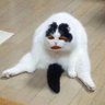 y_y profil fotoğrafı