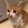 あやこ 的头像