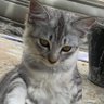 Was profil fotoğrafı