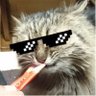 ヴィオ𒅒オメガ・ニャンコミュ profil fotoğrafı