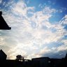 Cumulonimbus's profile picture