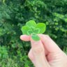 Profilbild von ゆあん🍀
