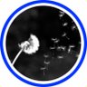 Profilbild von Finchen 𝑜𝑢𝑡 𝑜𝑓 𝑡ℎ𝑖𝑠 𝑤𝑜𝑟𝑙𝑑
