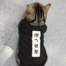Фото профиля fang jin