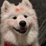 Profilbild von Tuffy