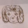 sako's profile picture