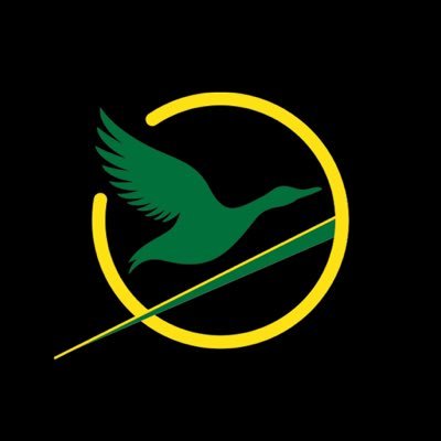 ducksrising_NIL's profile picture