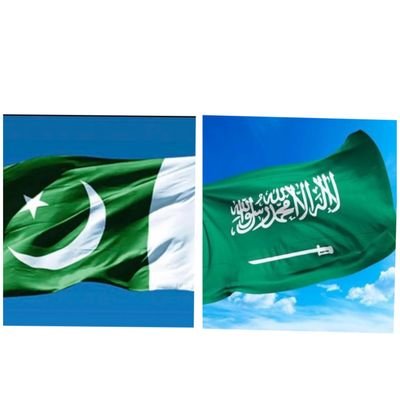 🇵🇰شہزاد 🇸🇦's profile picture