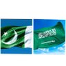 Фото профиля 🇵🇰شہزاد 🇸🇦