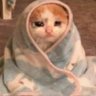 Sammie.Shon's profile picture