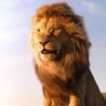 Moses's profile picture