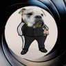 Profilbild von Sherman Tank Fella