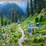 Pakistan Traveler's profile picture
