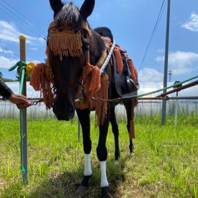 BlackHole0216's profile picture