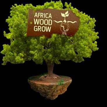 Africa Wood Grow's profile picture