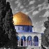 Profilbild von Al-Aqsa