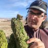 #Cali_plug 420 profil fotoğrafı