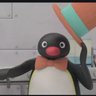 O Pingu 的头像