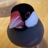 ますみ( ◜ω◝ )だよ's profile picture