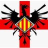 Desperta Ferro's profile picture