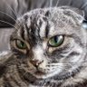 Eli lee's profile picture