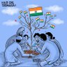 I love India 🇮🇳's profile picture